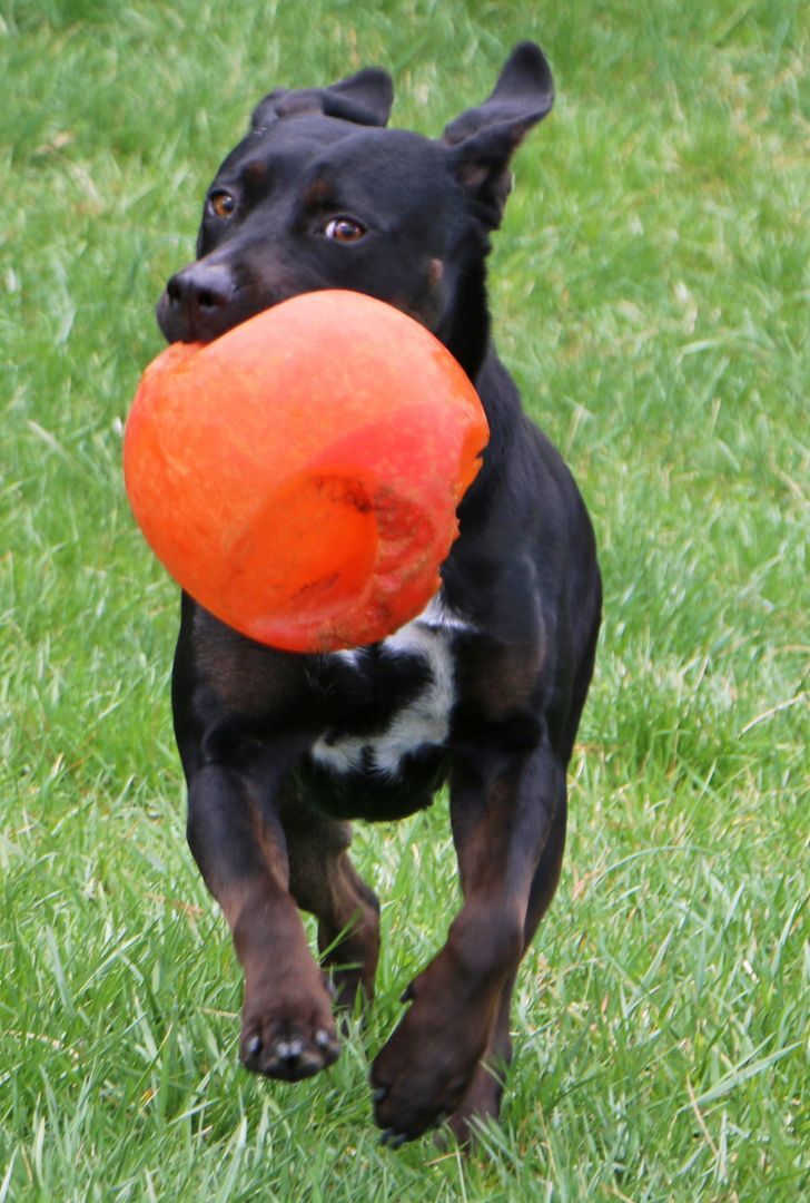 Luna photo 3