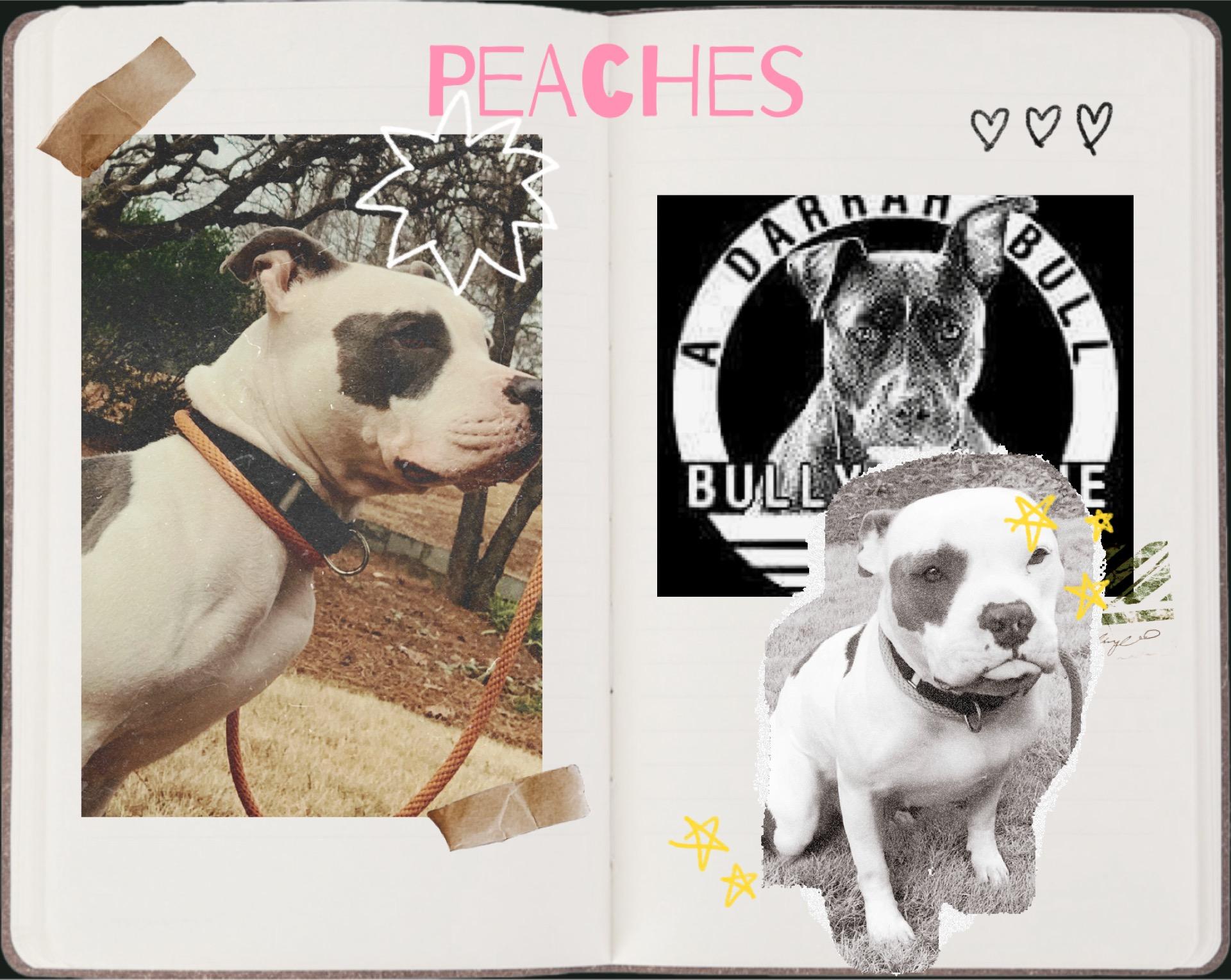 Peaches photo 3