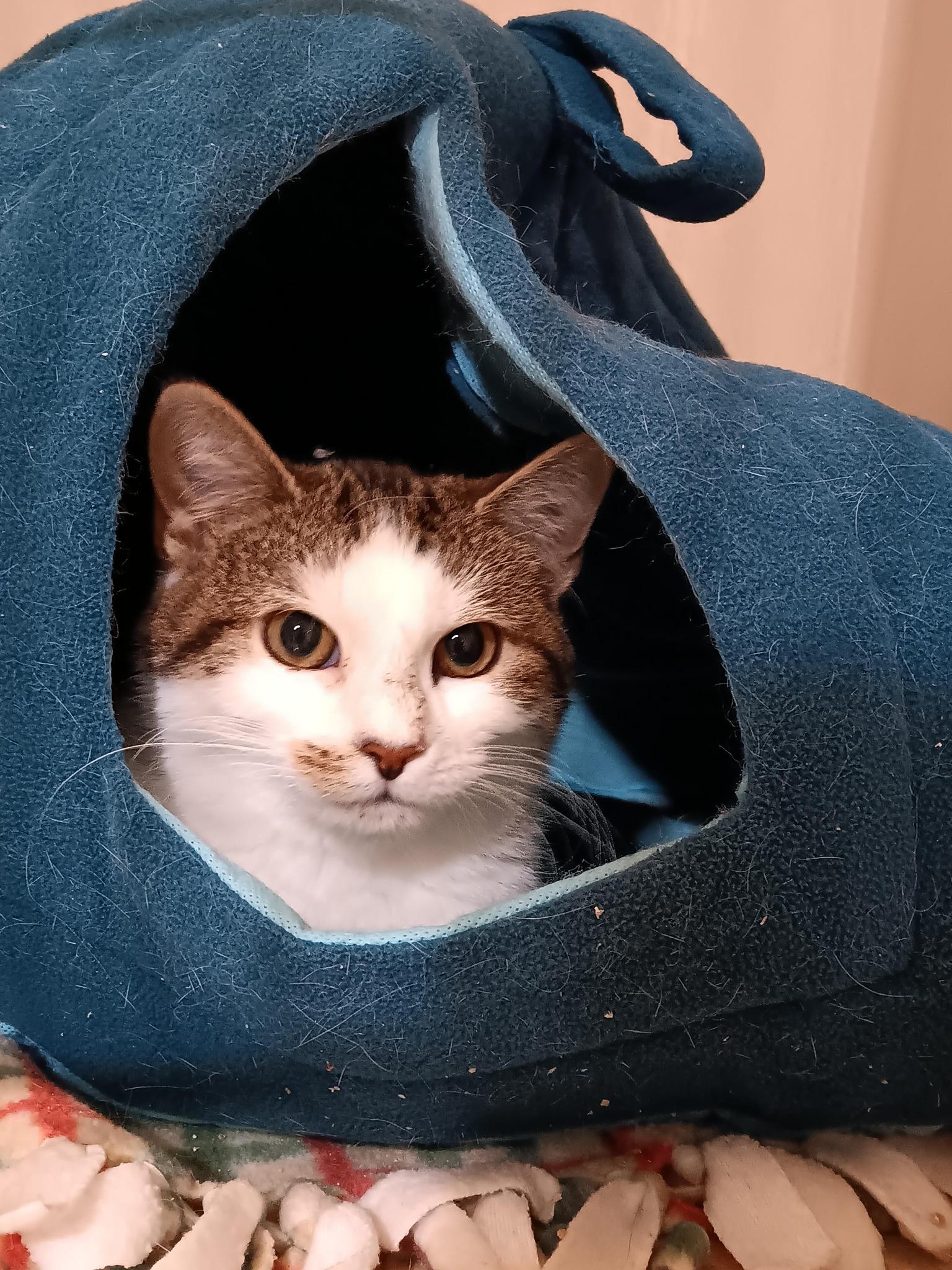 Glitch in the Matrix