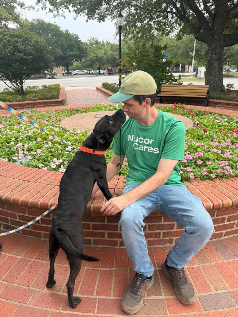 Enlarge Sally, a Adoptable mixed breed in Hartsville, SC image 2/6