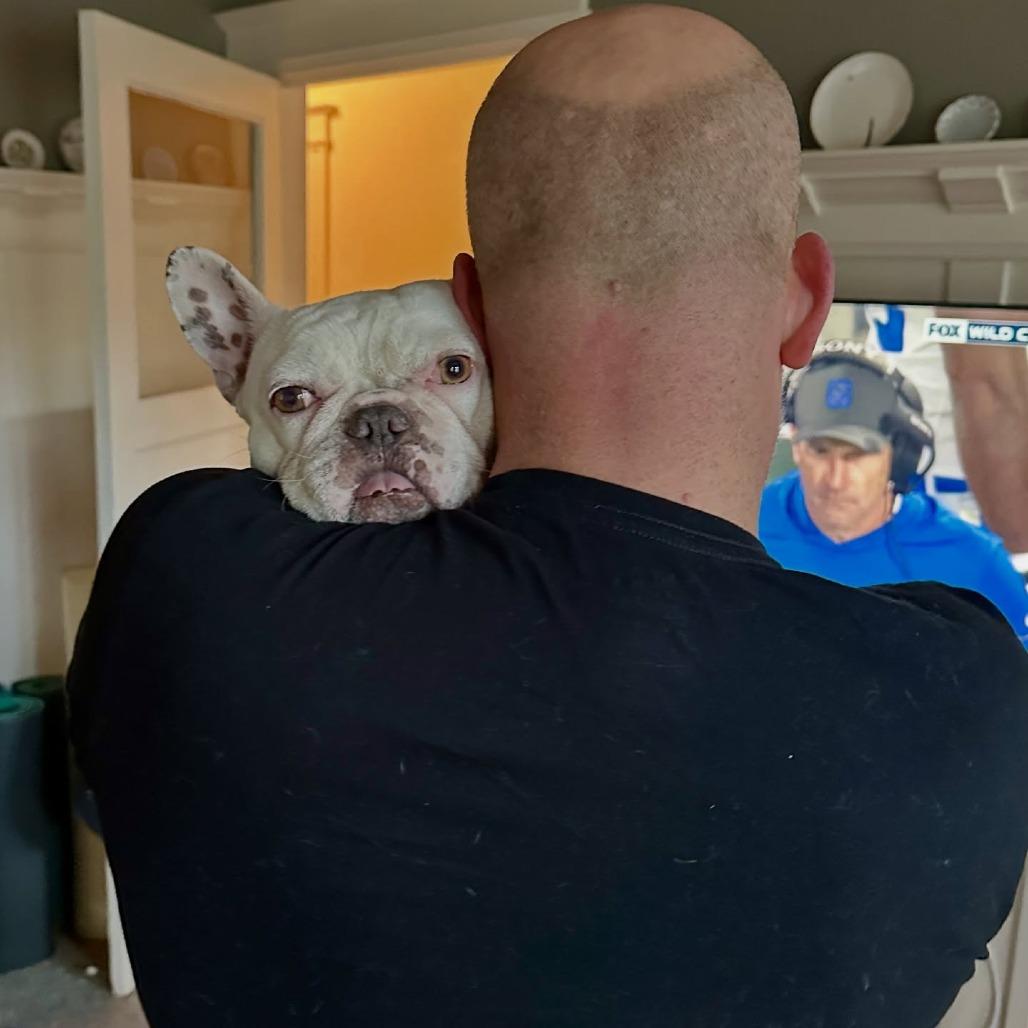 Biggie, a Adoptable French Bulldog in San Mateo, CA image 2/5