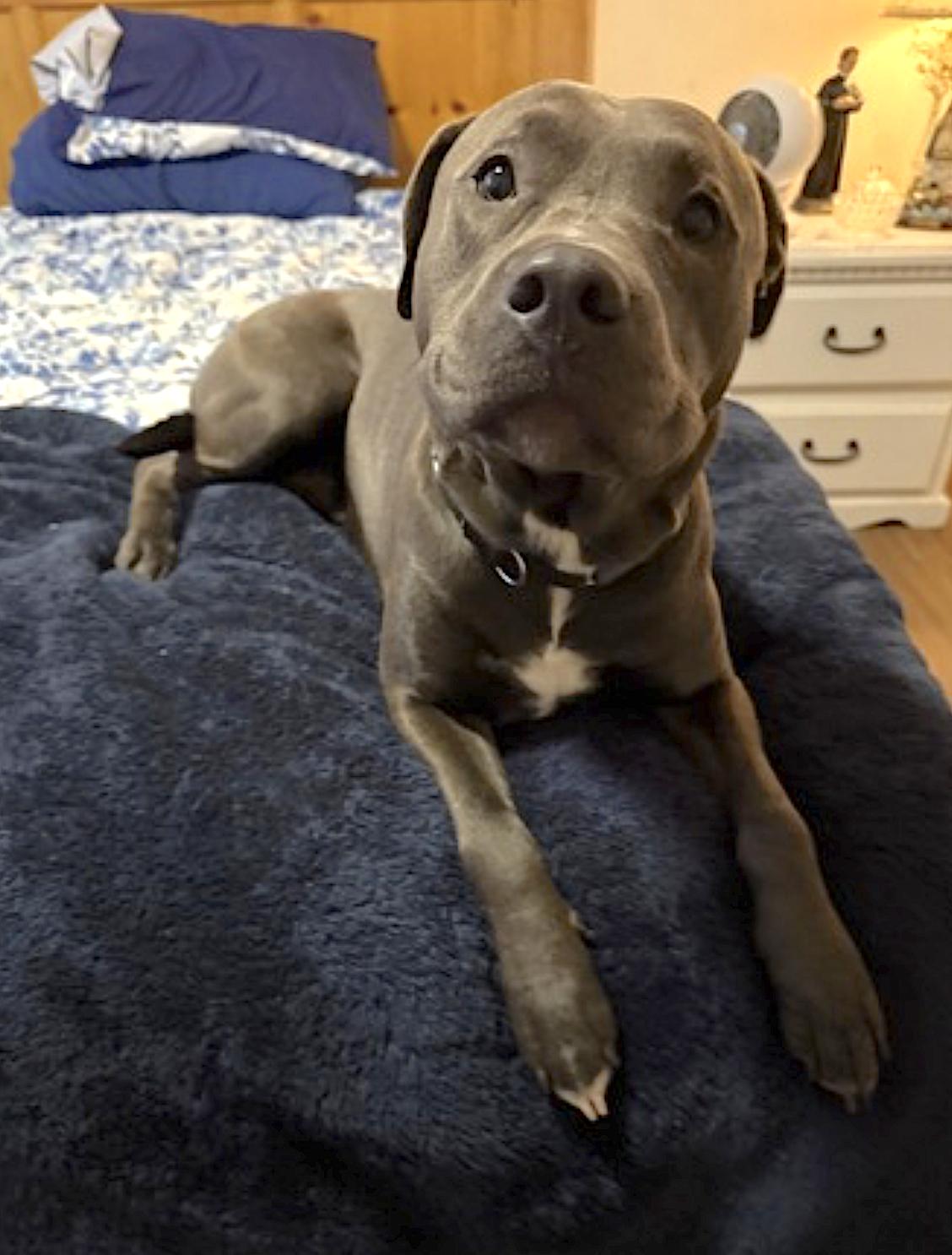 Barry — thumbnail 2