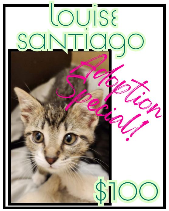 Enlarge Louise Santiago, a Adoptable mixed breed in Poplar Grove, IL image 3/6