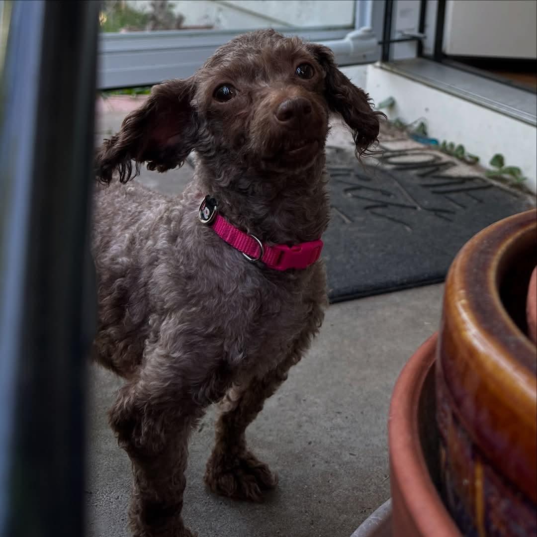 Mimi Aka Millie thumbnail 2