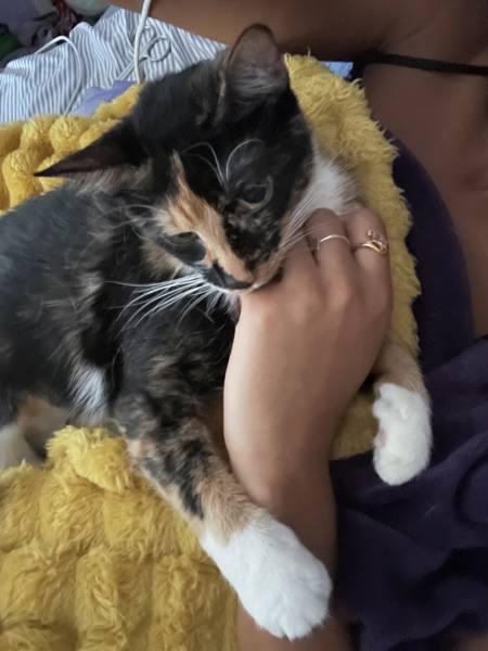 Sassy Sally — thumbnail 3