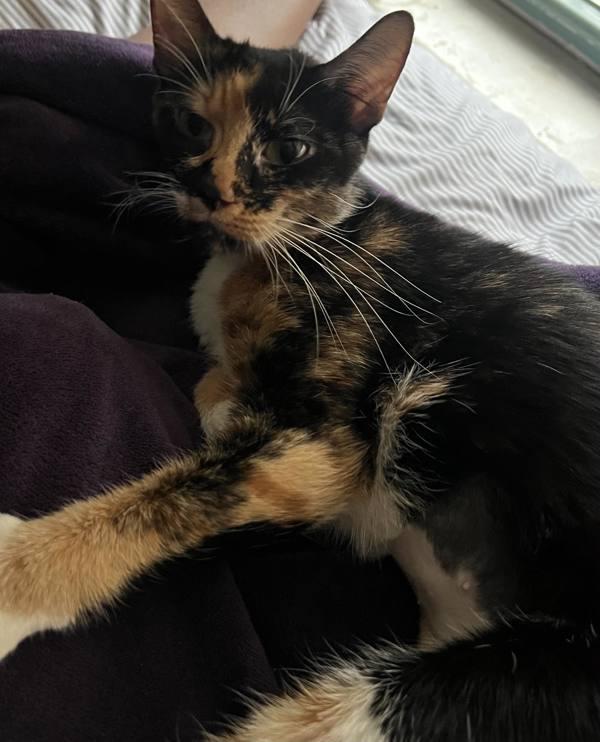 Sassy Sally — thumbnail 5