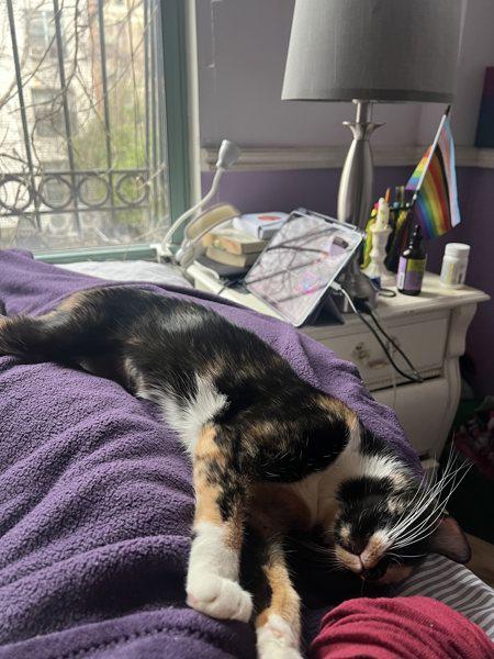 Sassy Sally — thumbnail 6