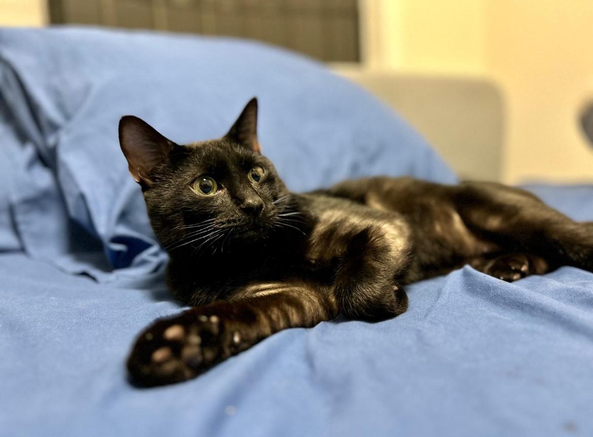 Martin - New Pics and Bio*