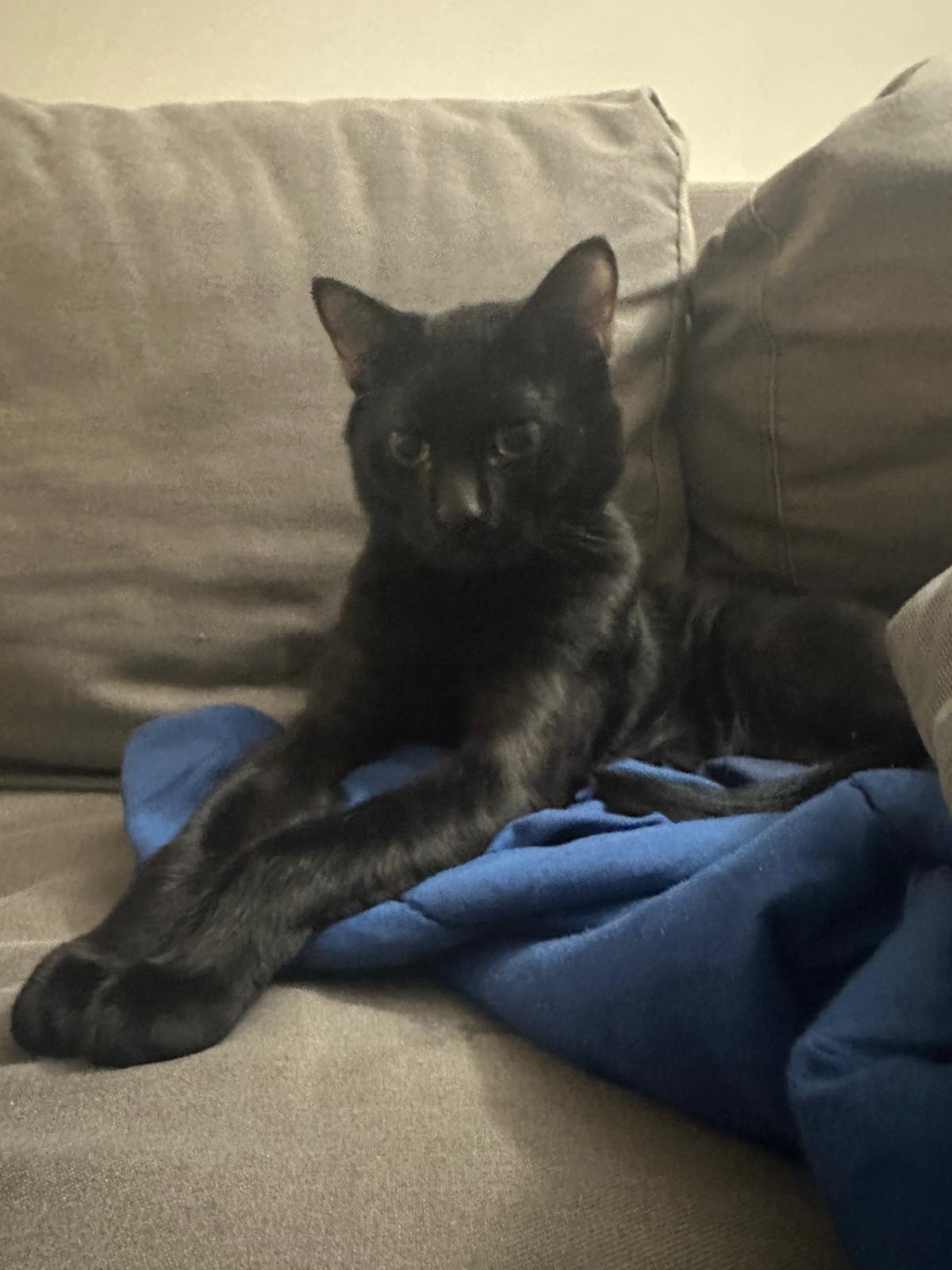 Martin - New Pics and Bio*