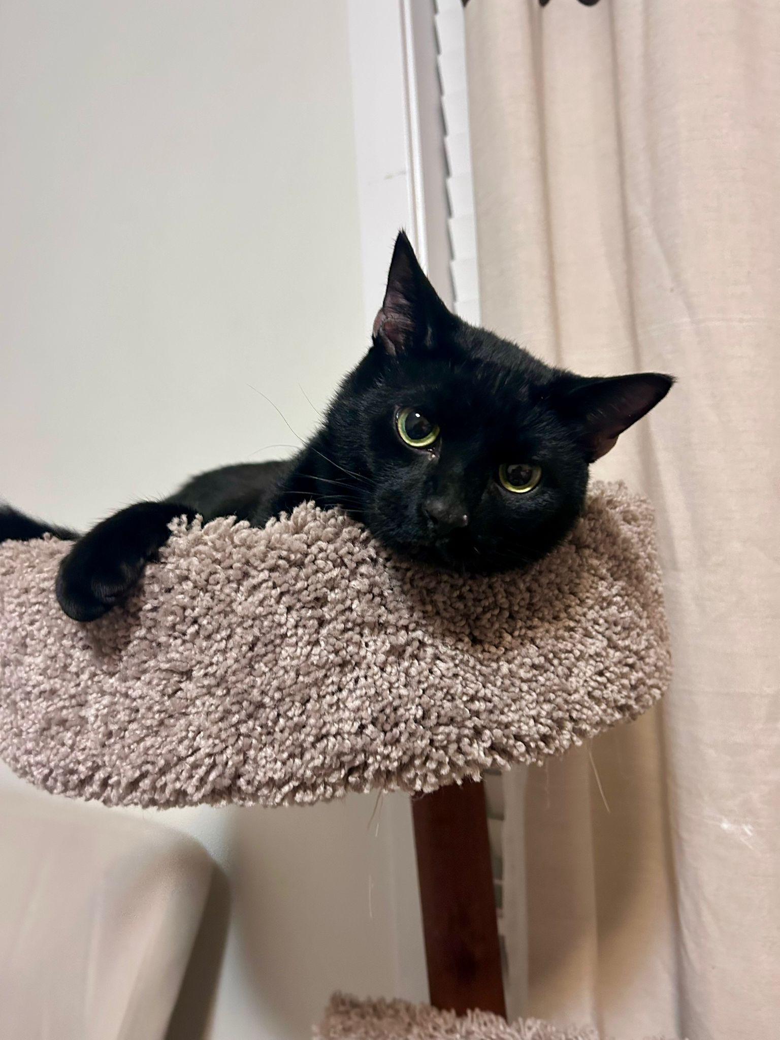 Martin - New Pics and Bio*