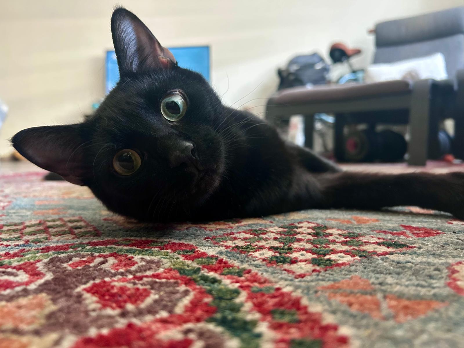 Martin - New Pics and Bio*