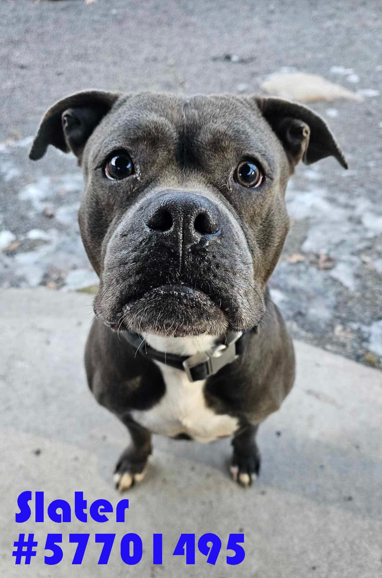 Slater