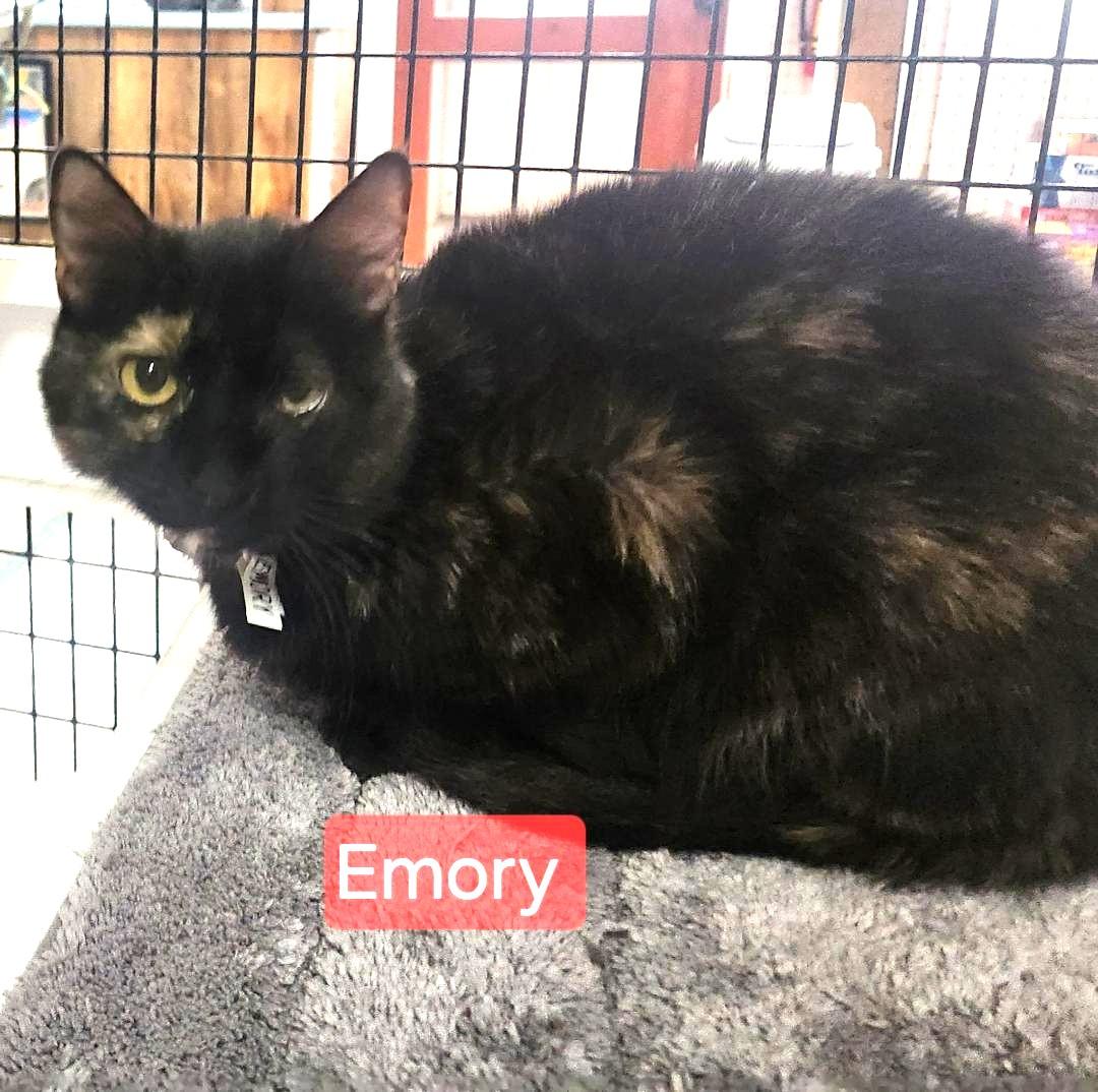 Emory