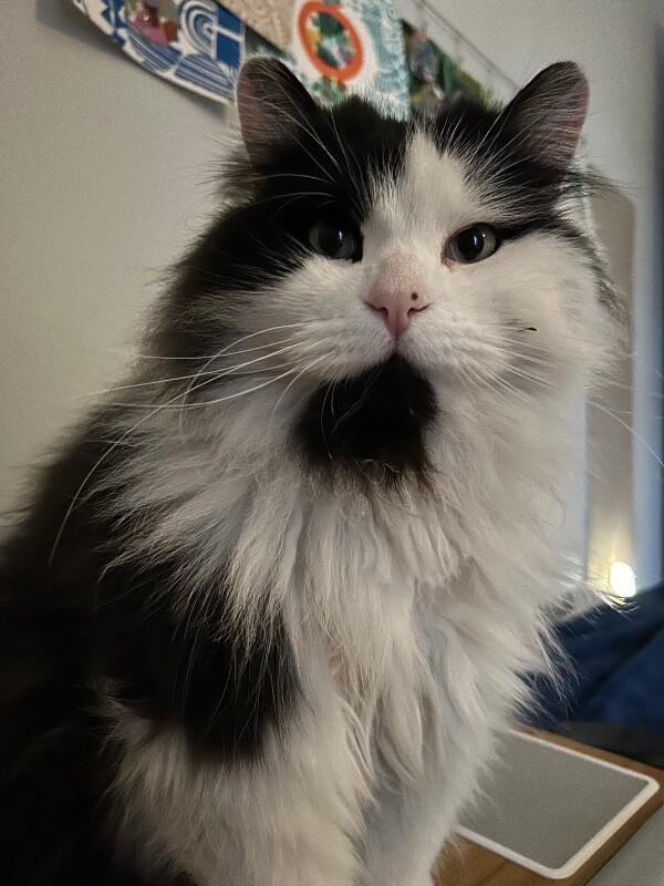 Glen — thumbnail 2