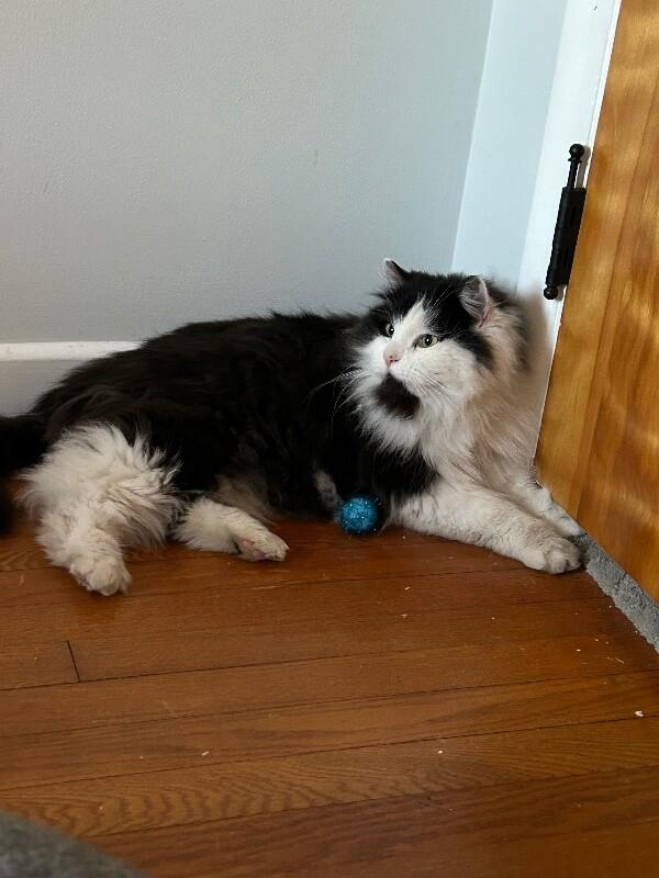 Glen — thumbnail 3