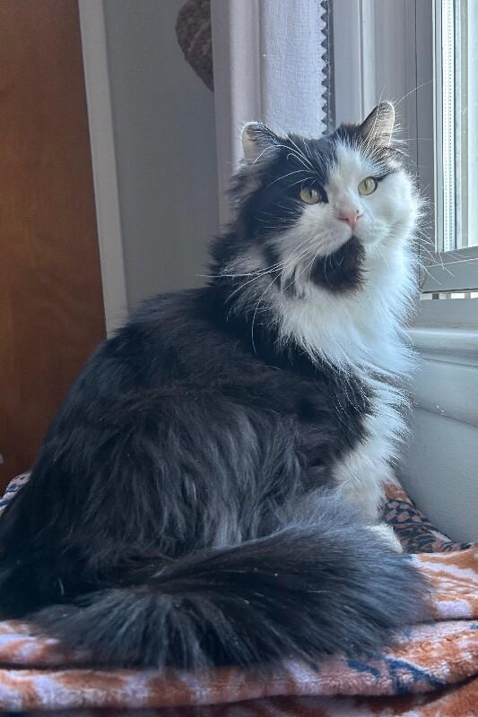 Glen — thumbnail 4