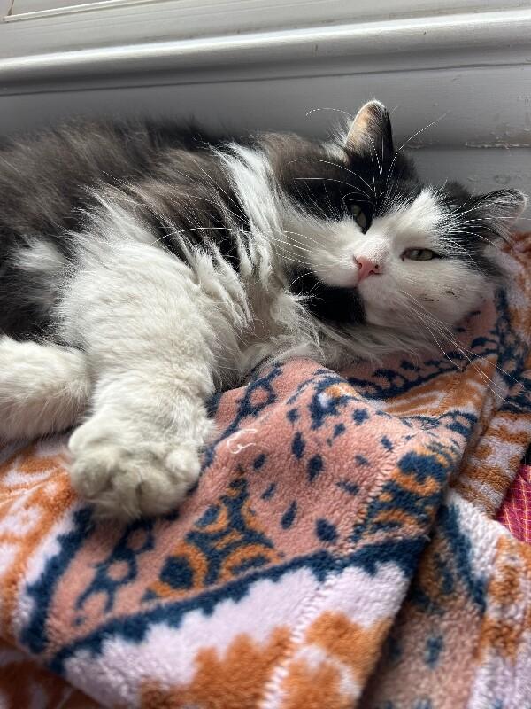 Glen — thumbnail 5