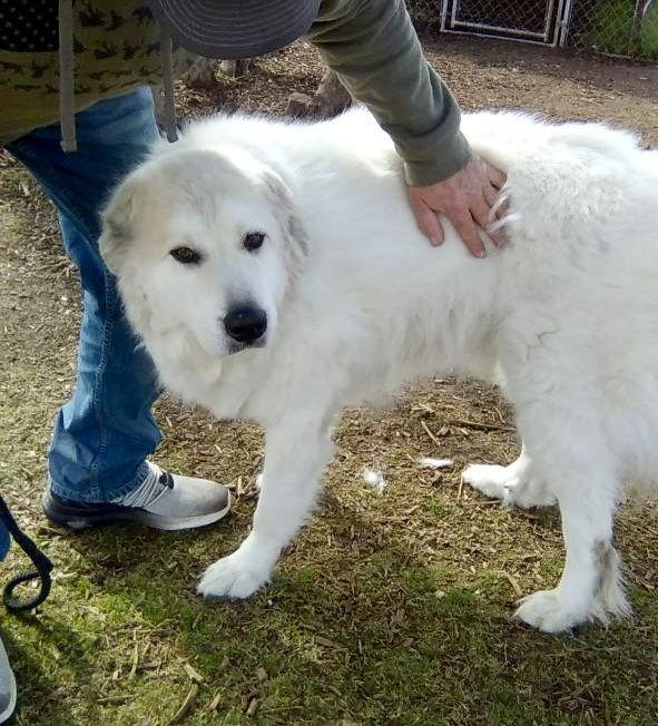 Garvey — thumbnail 3