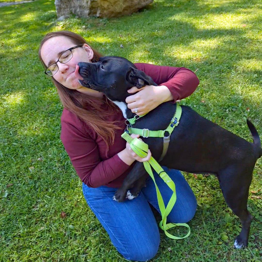 Enlarge Wednesday, a Adoptable mixed breed in Accident, MD image 3/5