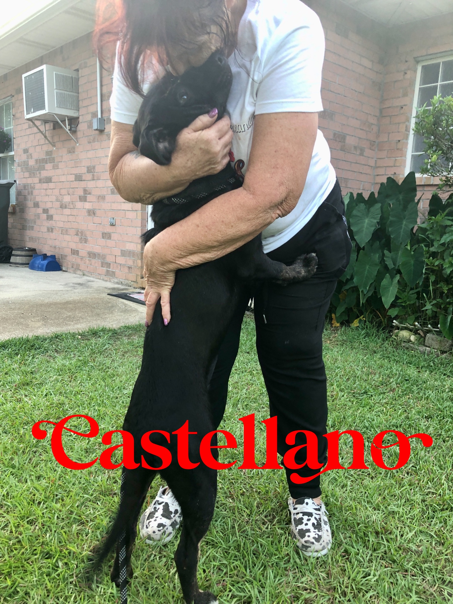 Castellano photo 2