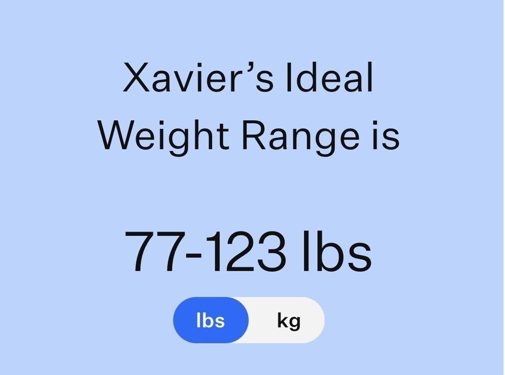 Eugene, a Adoptable mixed breed in Frisco, TX image 1/4