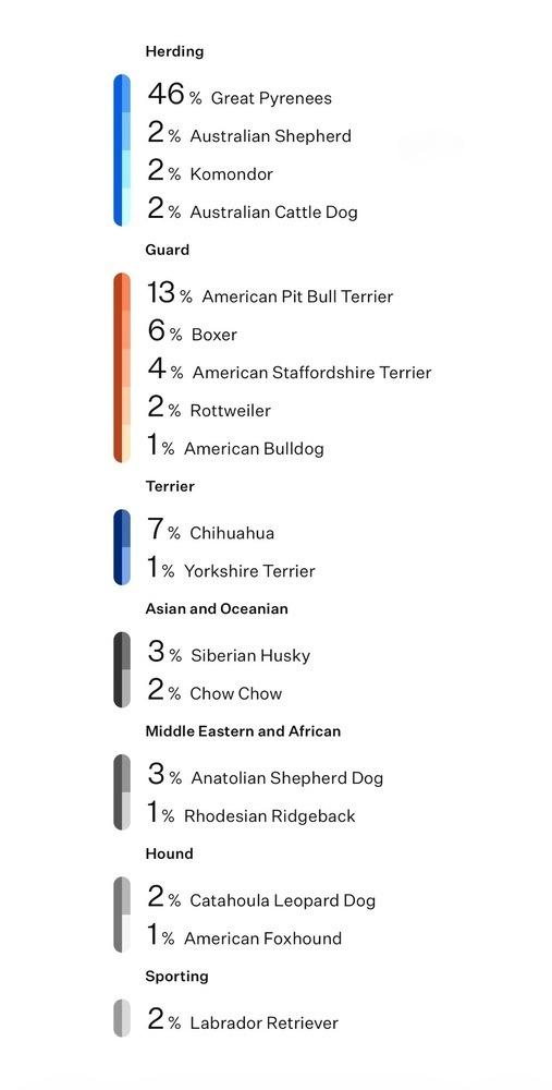 Eugene, a Adoptable mixed breed in Frisco, TX image 4/4