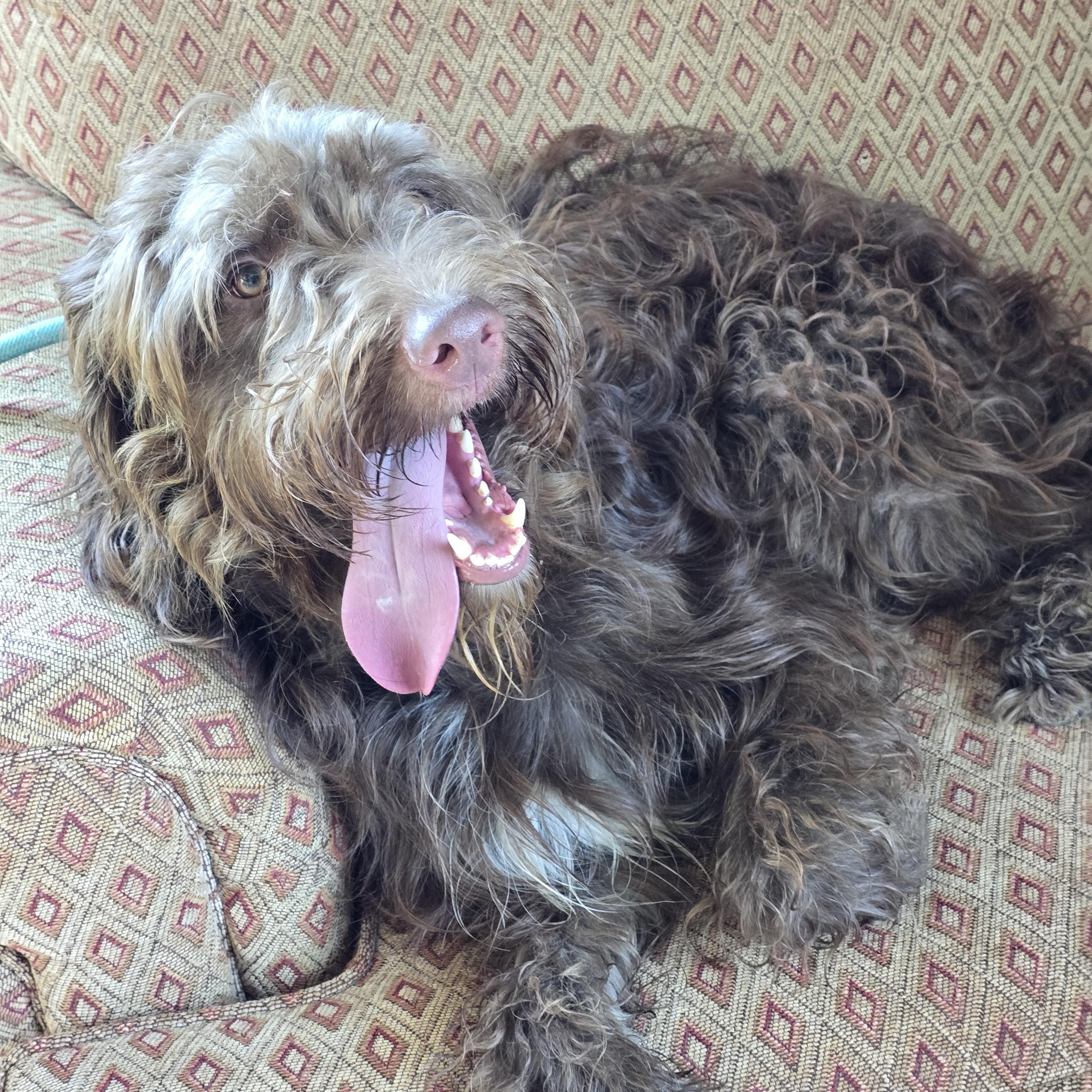 Marley