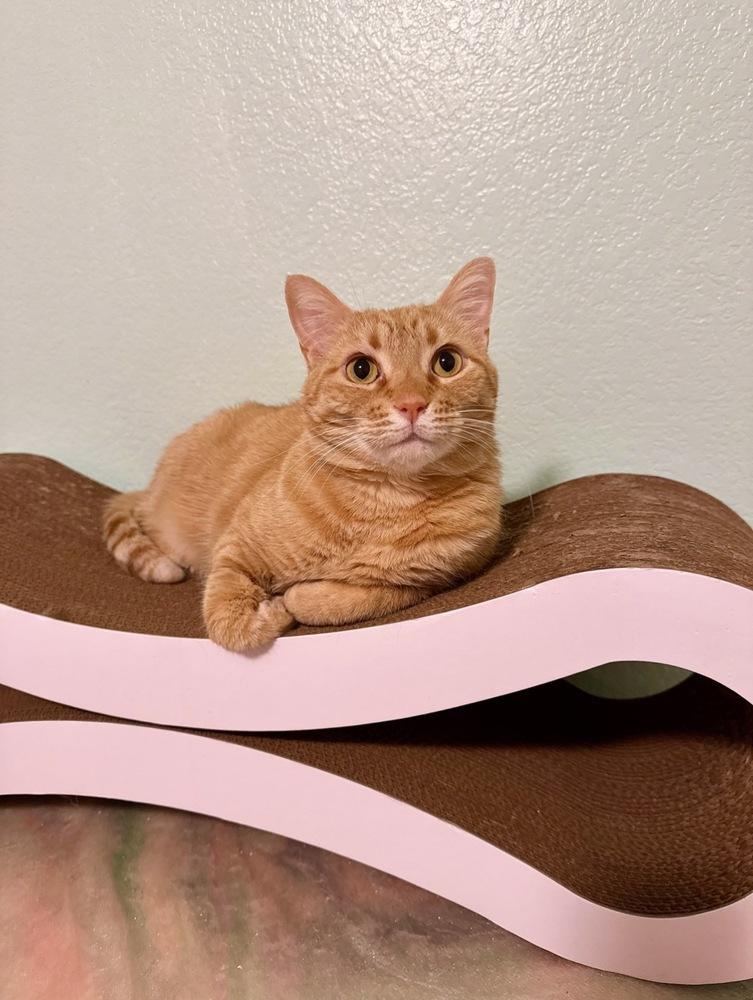 Angel Flame — thumbnail 4