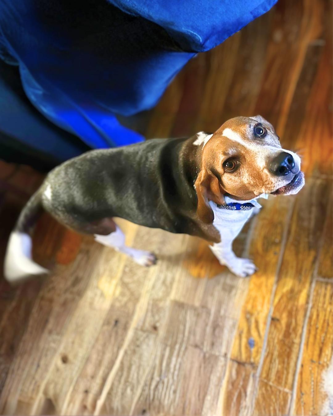 Lost City — thumbnail 4