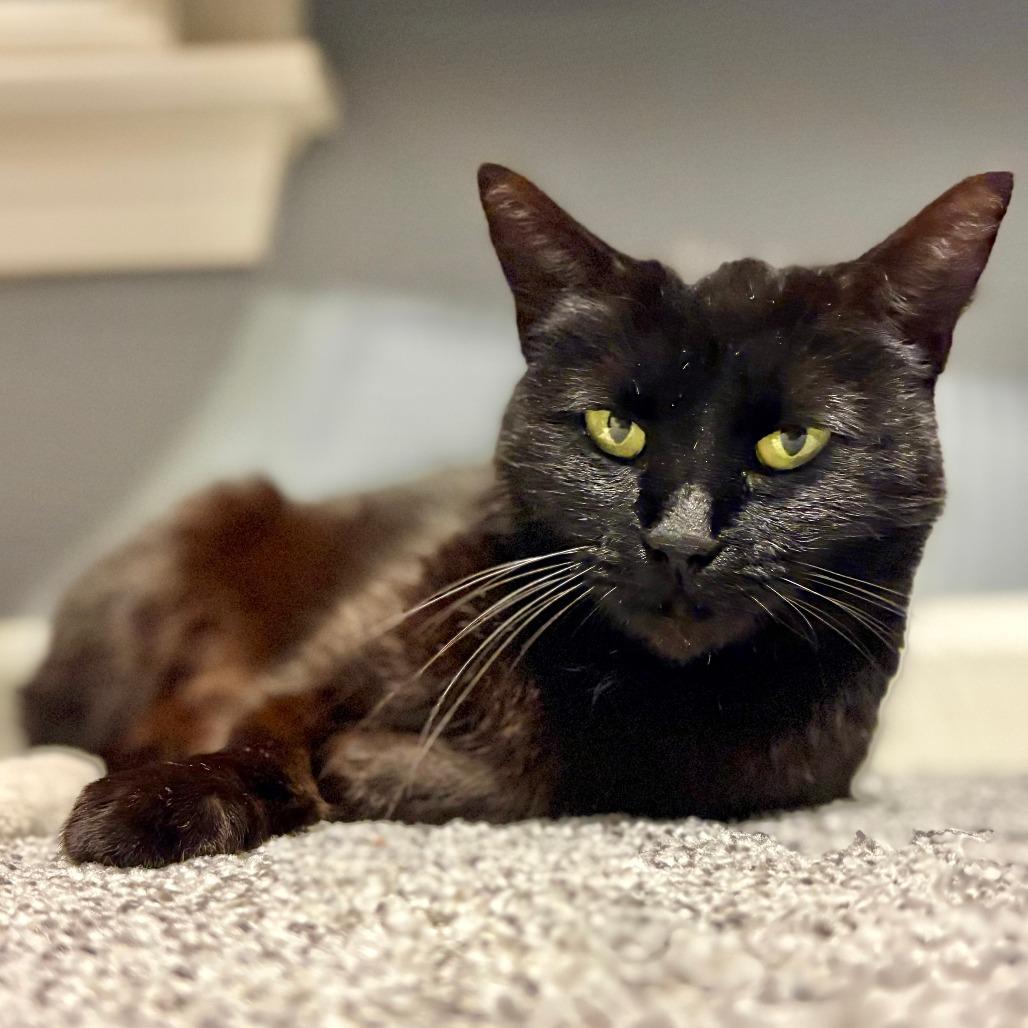 Serenity — thumbnail 2