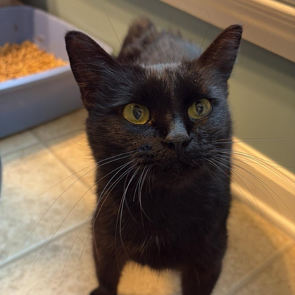 Serenity — thumbnail 3