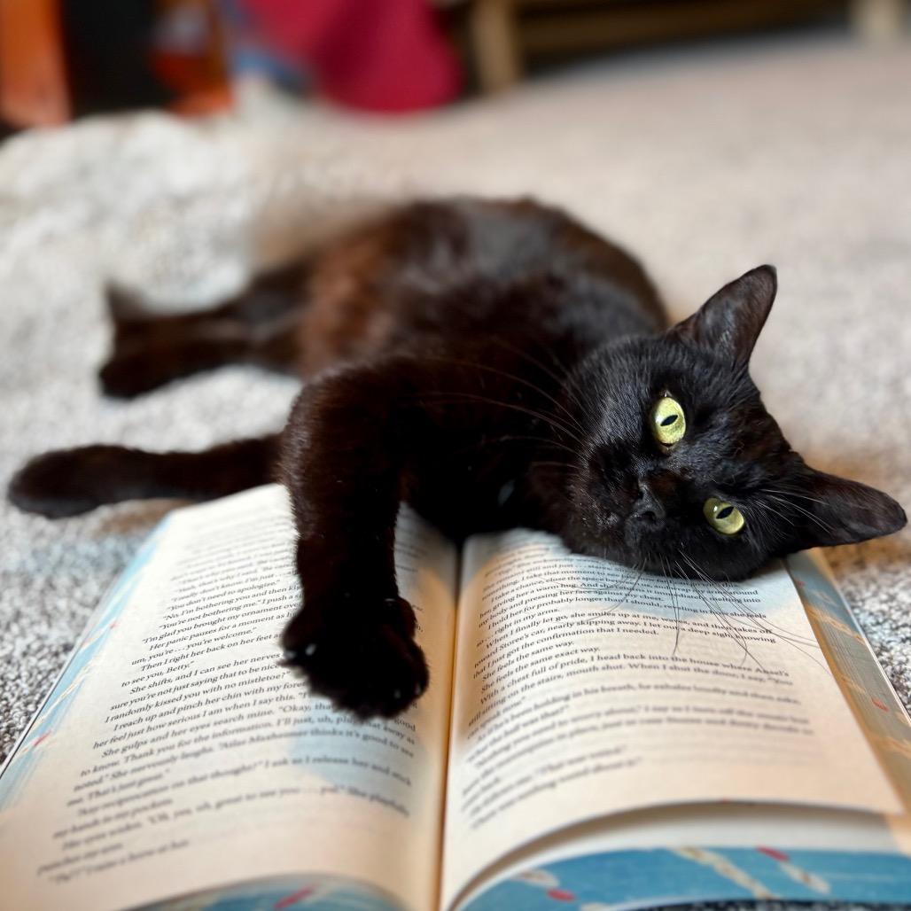 Serenity — thumbnail 5