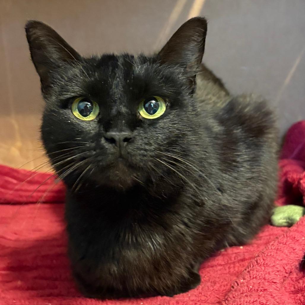 Serenity — thumbnail 6