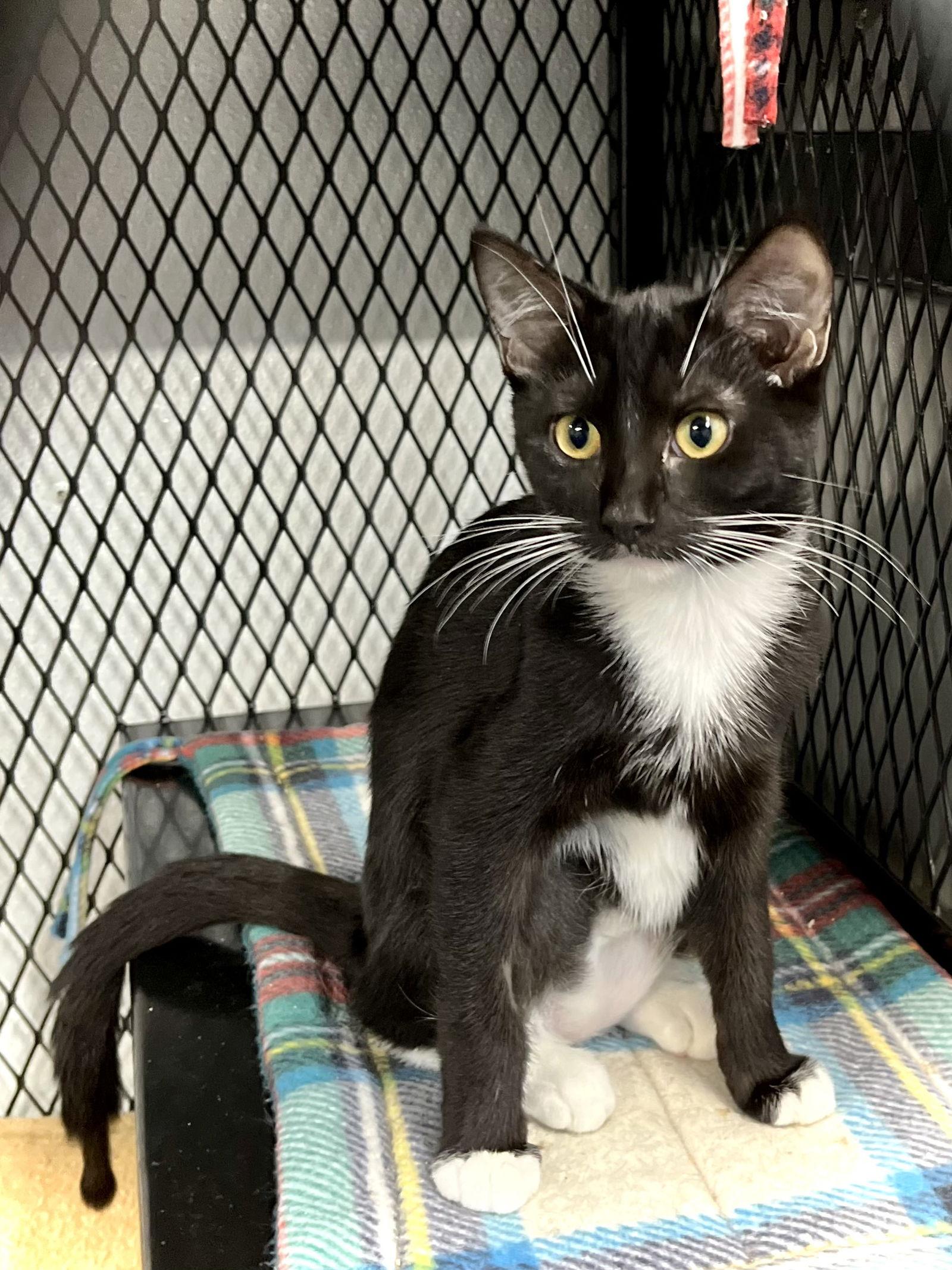 Luka — thumbnail 2