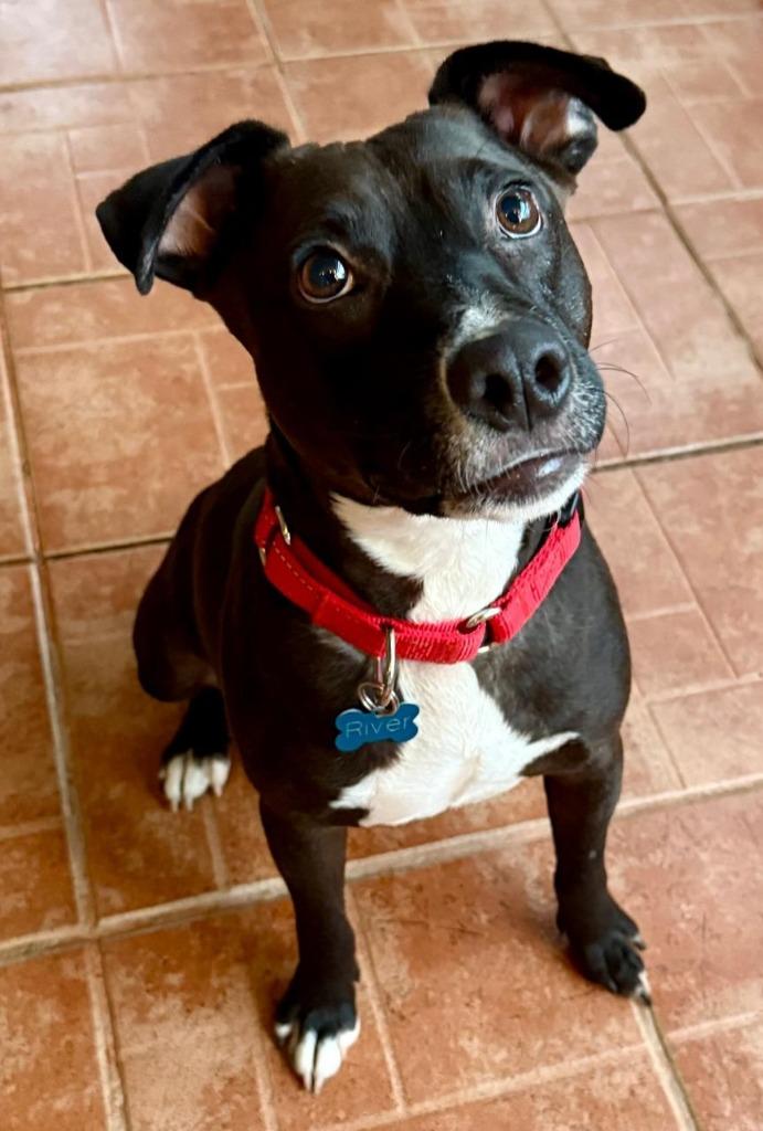 River — thumbnail 5