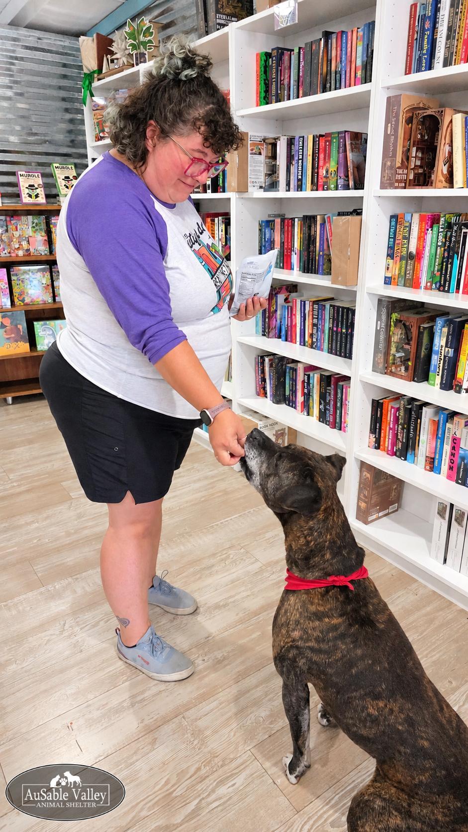 Enlarge Meatball, a Adoptable Mixed Breed in Grayling, MI image 6/6