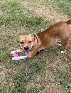 Frannie photo 4
