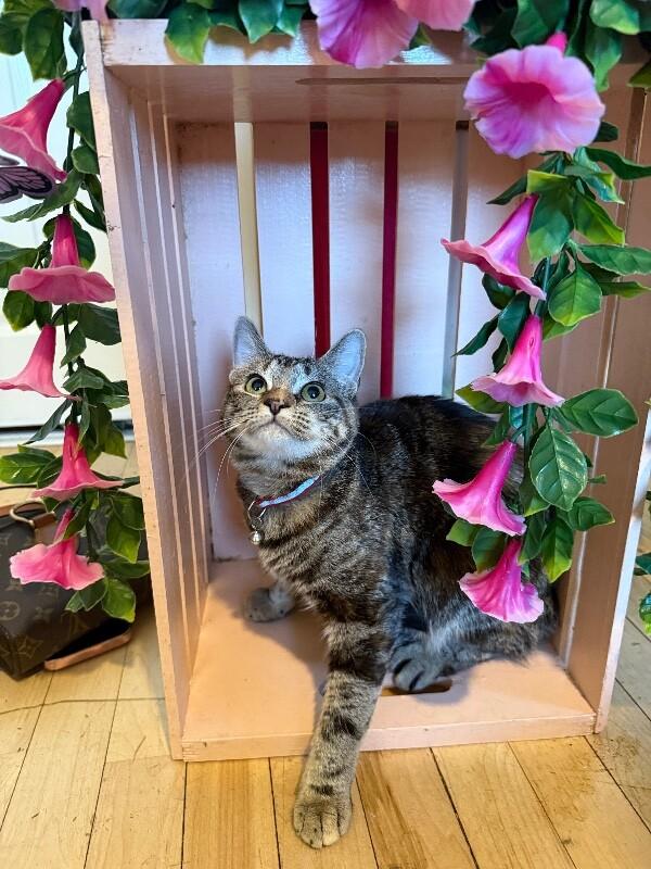 Manhattan New York — thumbnail 5