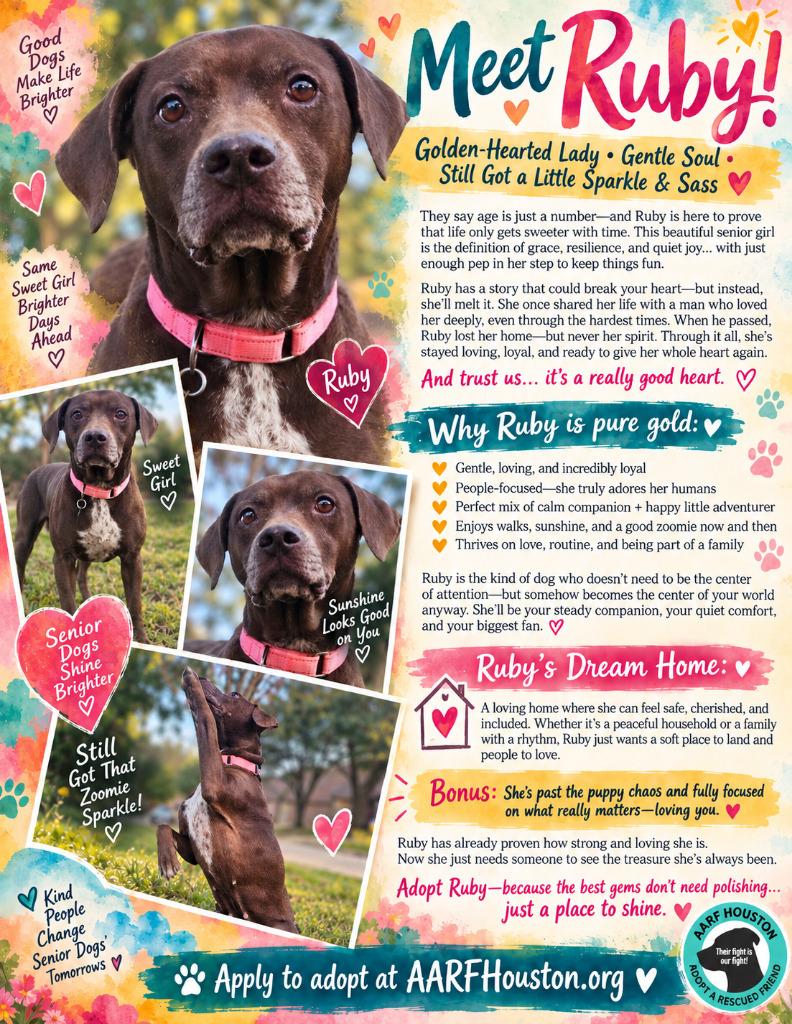Enlarge Ruby, a Adoptable mixed breed in Spring, TX image 5/6
