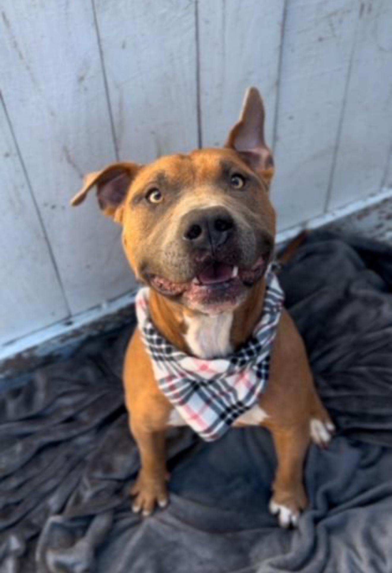 Mac ...... the MACNIFICENT 1