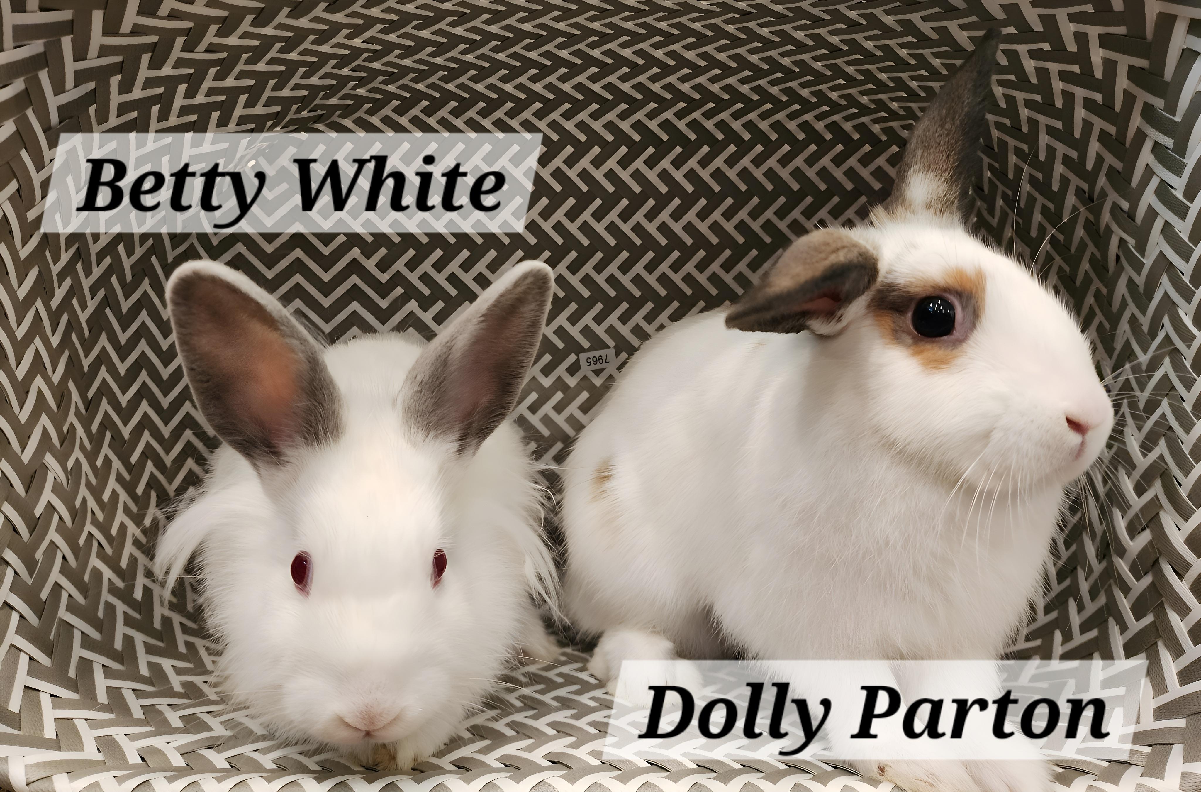 Dolly Parton & Betty White 5