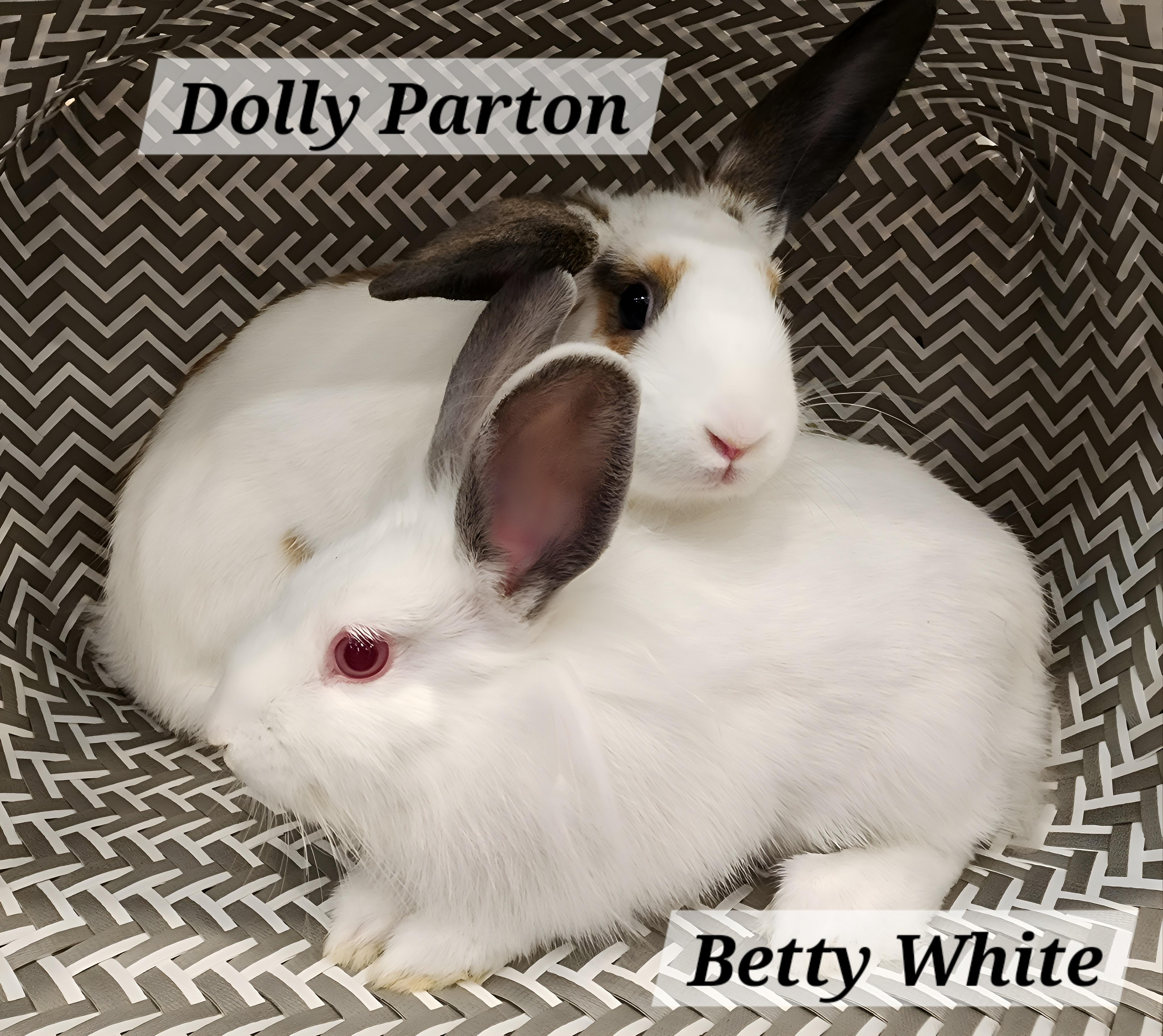 Dolly Parton & Betty White