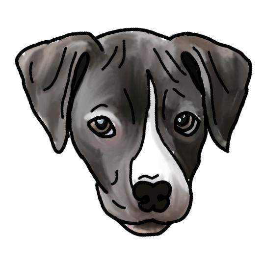 Enlarge Jody, a Adoptable mixed breed in Farmington, MN image 3/3