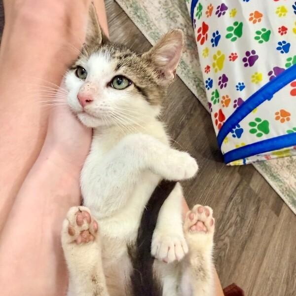 Miney Baby — thumbnail 2