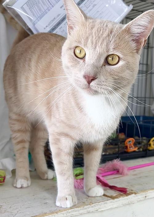 Wilbur (FCID# 10/07/2025 - 120) Willow Grove