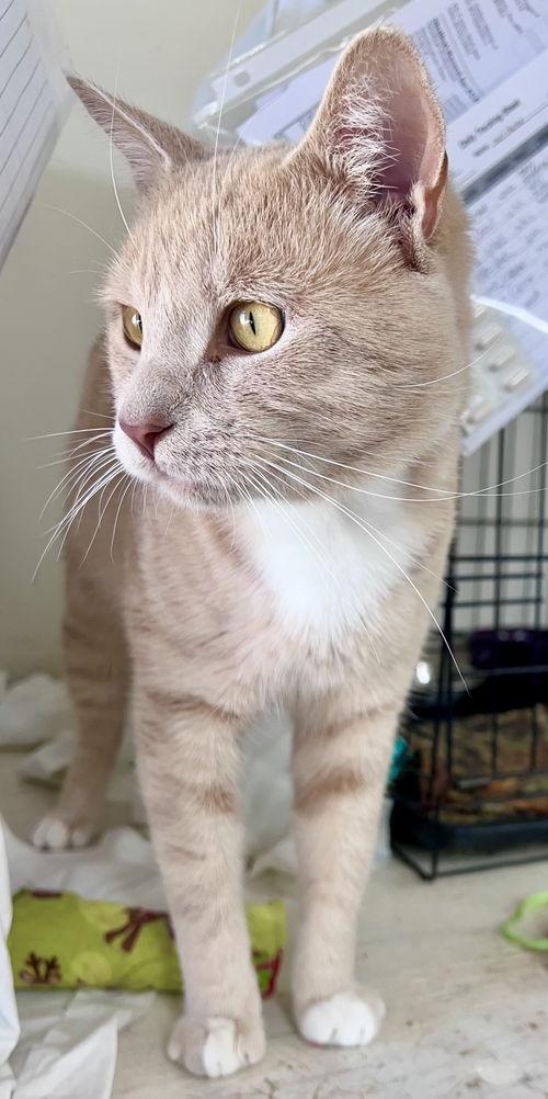 Wilbur (FCID# 10/07/2025 - 120) Willow Grove