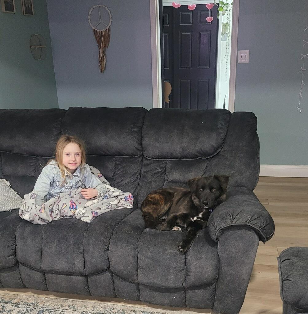 Enlarge Roxy Roxanne , a ADOPTABLE mixed breed in Blue Bell, PA image 2/6