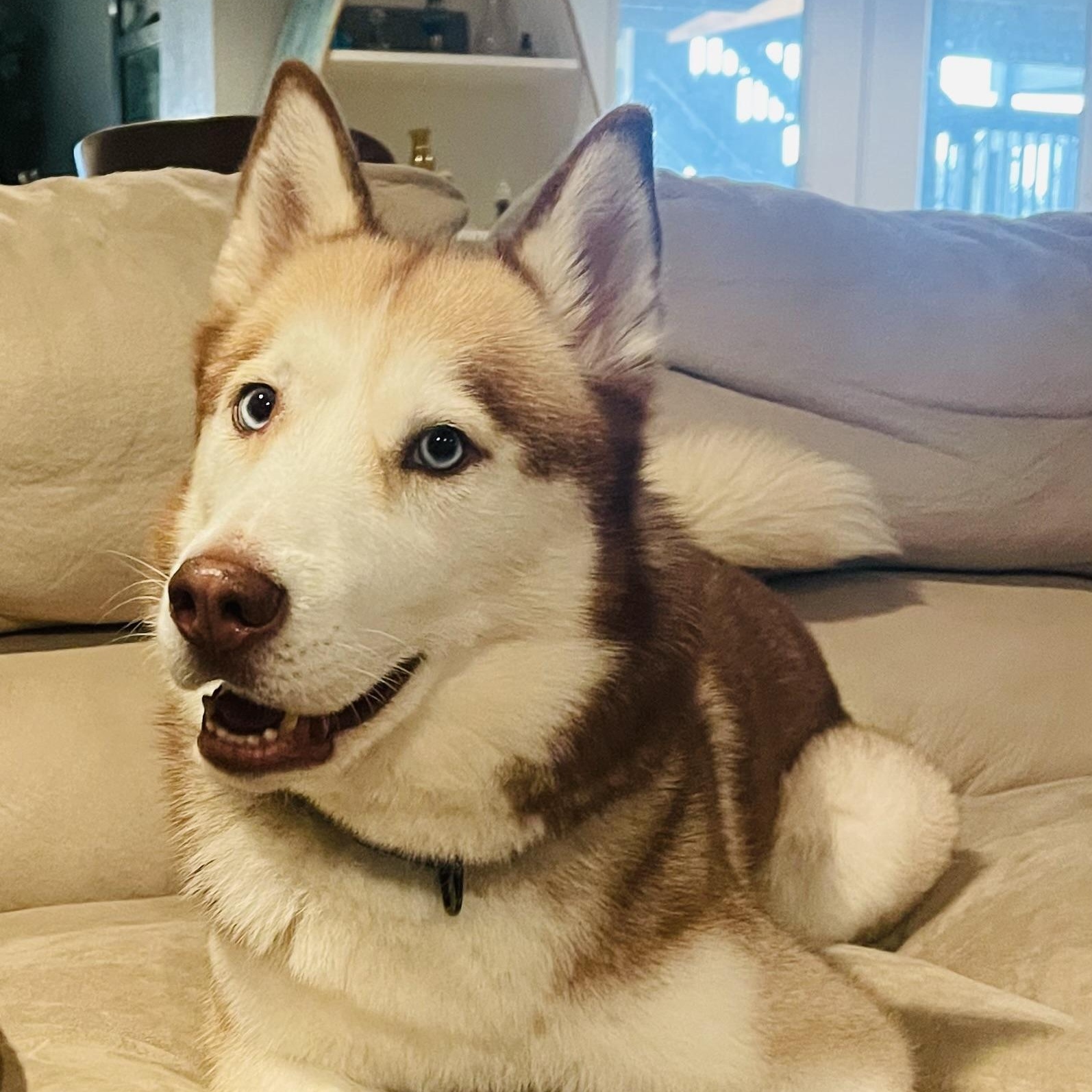 Rosie