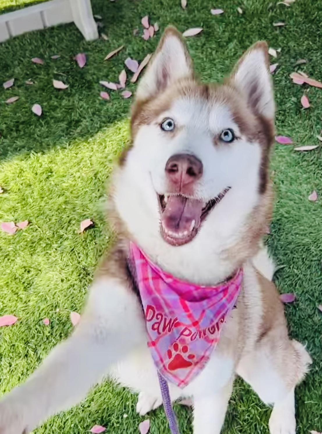 Rosie