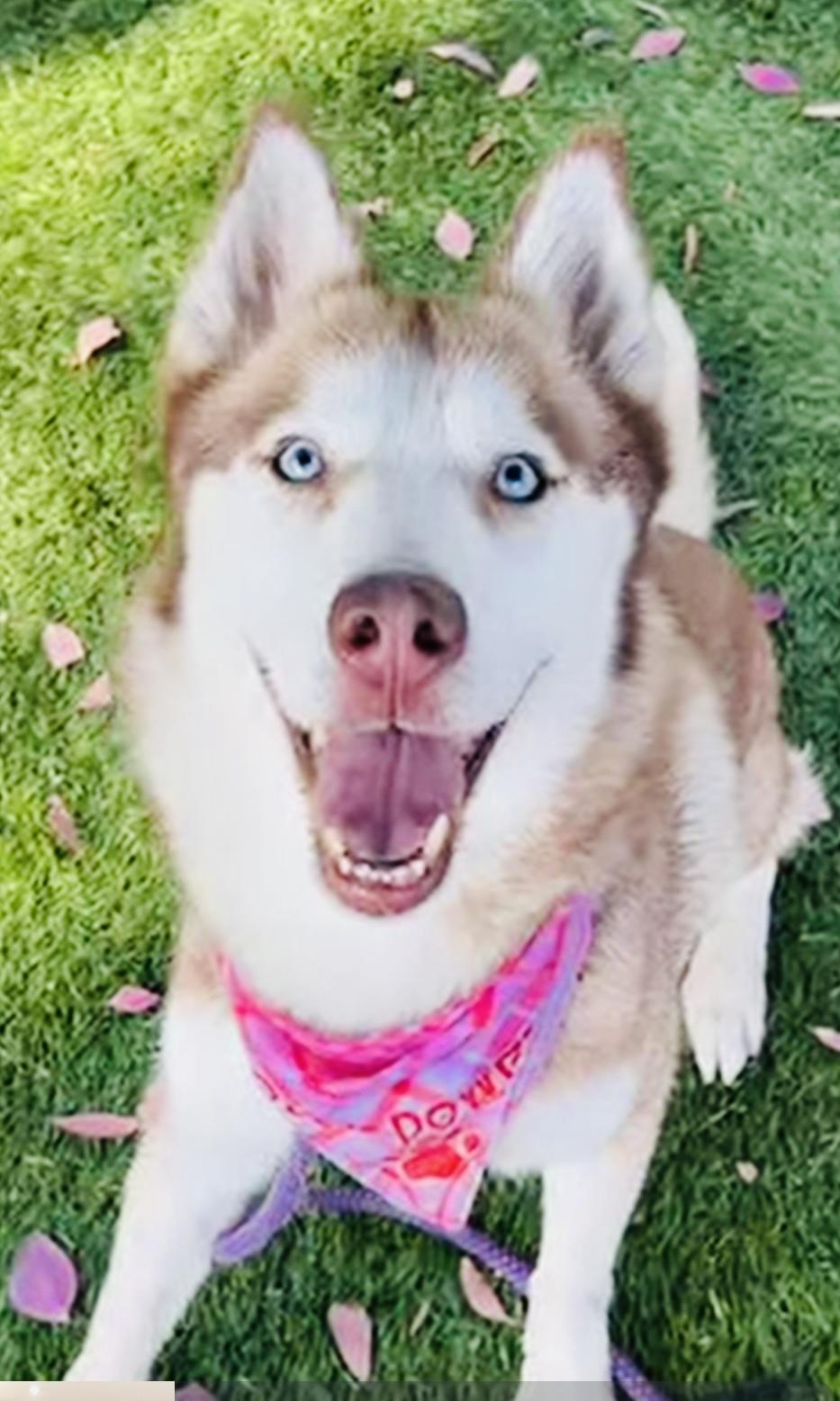 Rosie